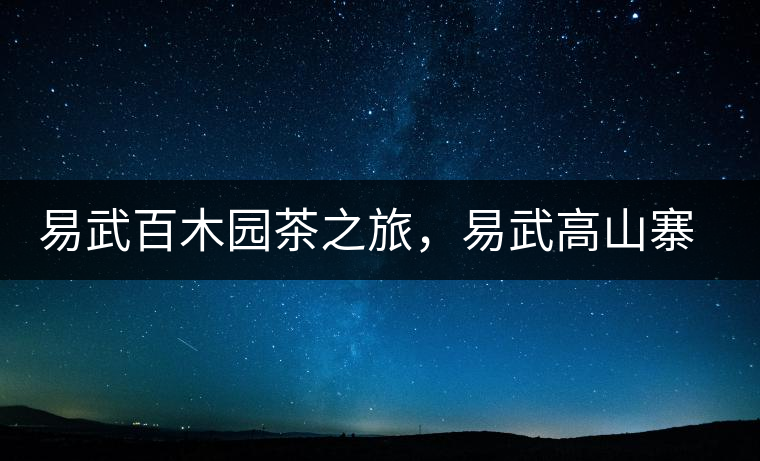 易武百木園茶之旅，易武高山寨古茶山