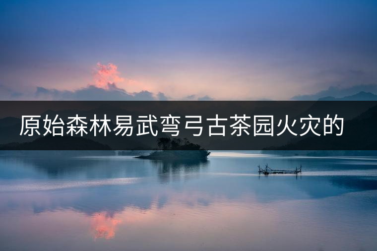 原始森林易武彎弓古茶園火災(zāi)的警醒 原始森林易武彎弓古茶園火災(zāi)的警醒