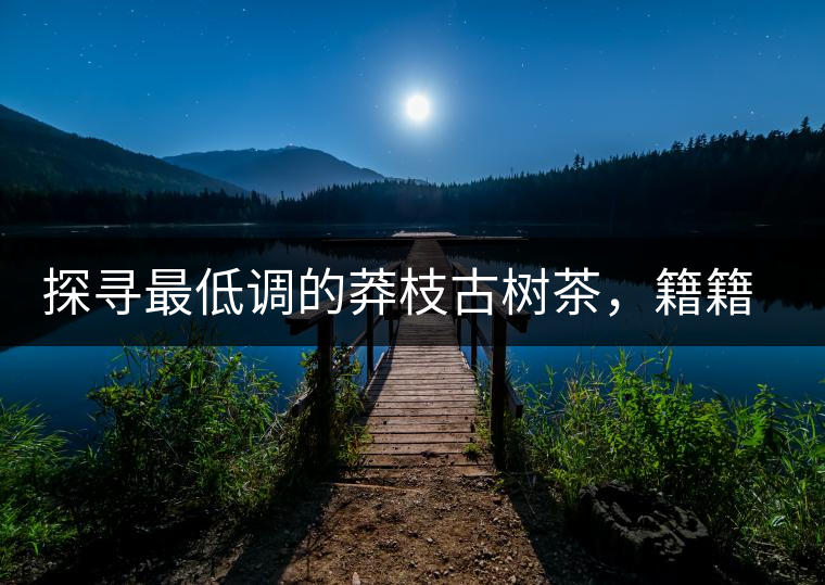探尋最低調(diào)的莽枝古樹(shù)茶，籍籍無(wú)名出好茶