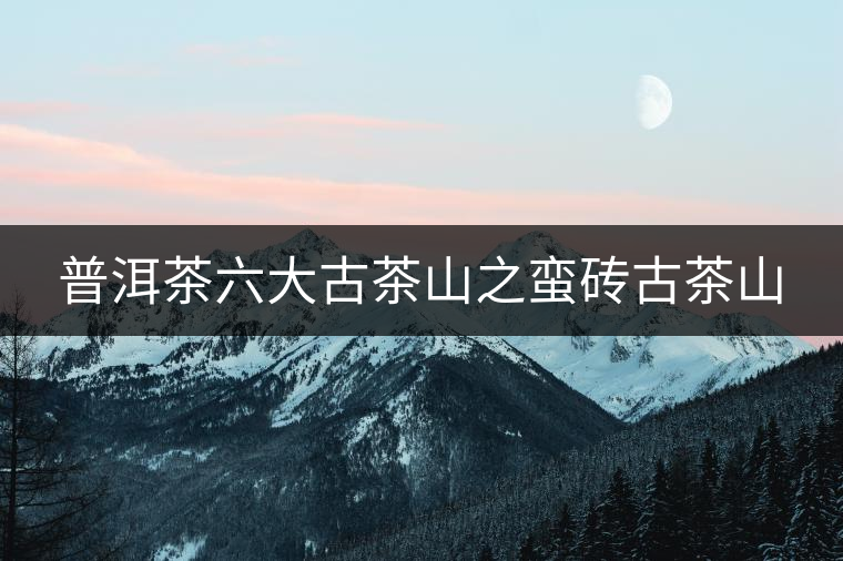 普洱茶六大古茶山之蠻磚古茶山 普洱茶六大古茶山之蠻磚古茶山