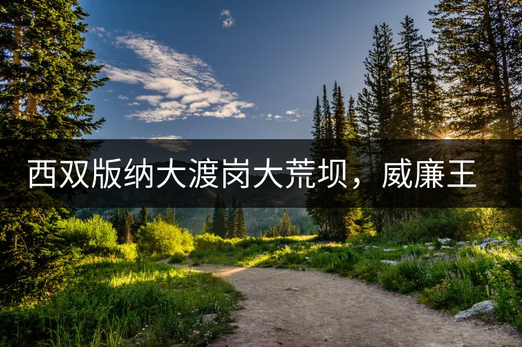西雙版納大渡崗大荒壩，威廉王子曾經(jīng)到過的古樹茶山