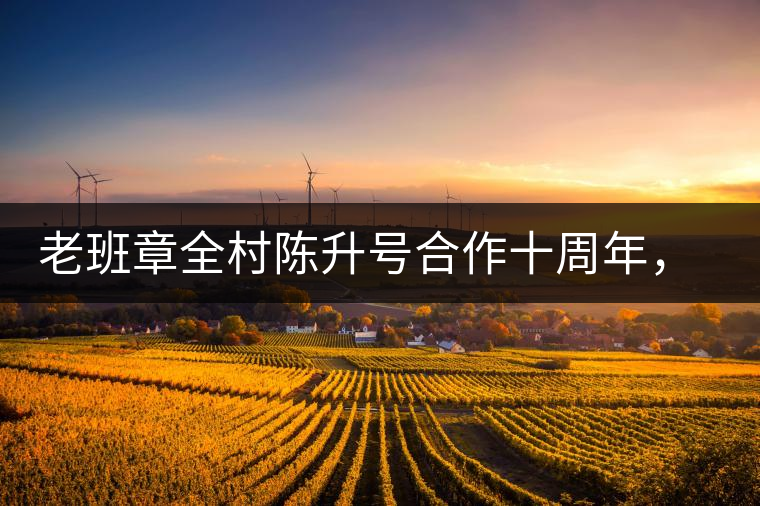 老班章全村陳升號(hào)合作十周年，贈(zèng)送千兩百家茶