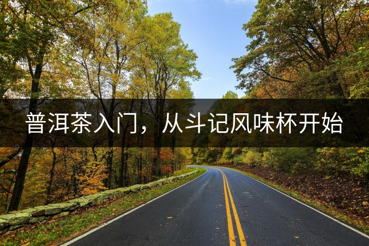 普洱茶入門，從斗記風(fēng)味杯開始