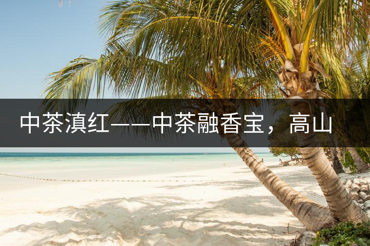 中茶滇紅——中茶融香寶，高山烏龍茶