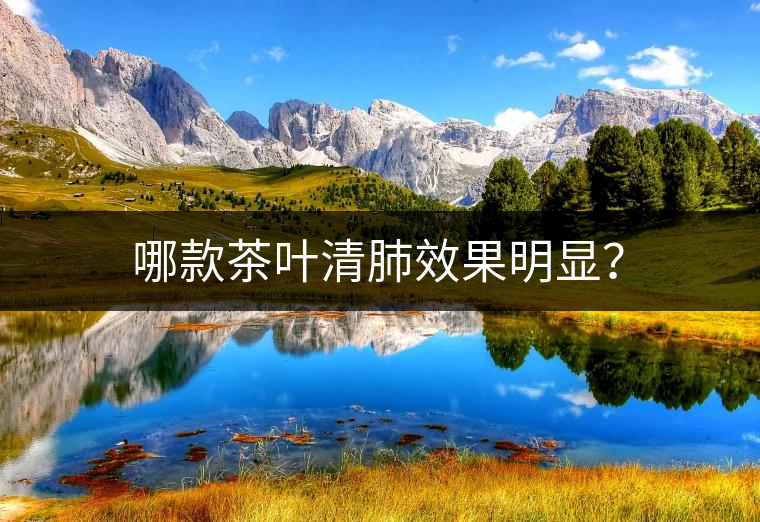 哪款茶葉清肺效果明顯？