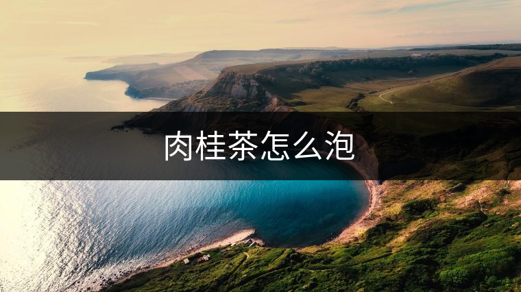 肉桂茶怎么泡