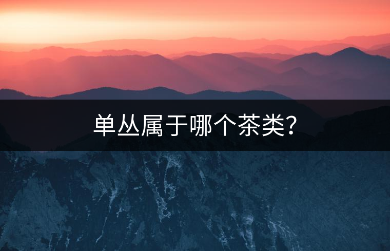 單叢屬于哪個茶類？