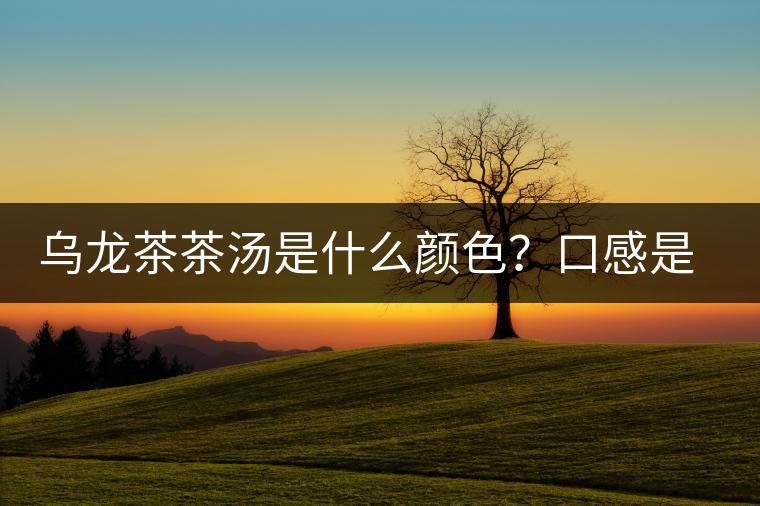 烏龍茶茶湯是什么顏色？口感是什么？