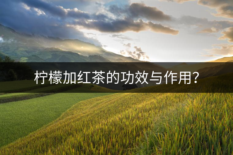 檸檬加紅茶的功效與作用？