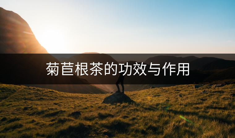 菊苣根茶的功效與作用 菊苣根茶的功效與作用