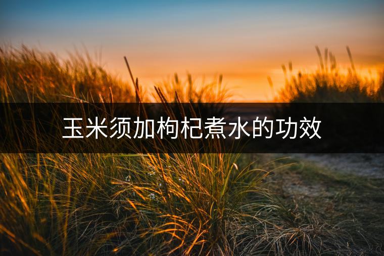 玉米須加枸杞煮水的功效 玉米須加枸杞煮水的功效