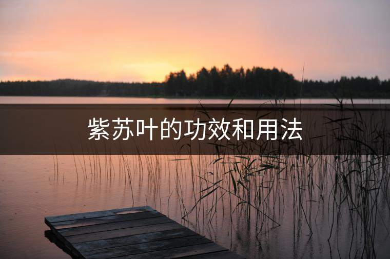 紫蘇葉的功效和用法 紫蘇葉的功效和用法