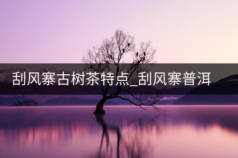 刮風(fēng)寨古樹(shù)茶特點(diǎn)_刮風(fēng)寨普洱茶口感 刮風(fēng)寨古樹(shù)茶特點(diǎn)_刮風(fēng)寨普洱茶口感