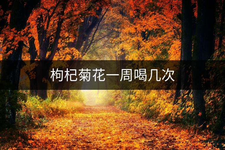 枸杞菊花一周喝幾次 枸杞菊花一周喝幾次