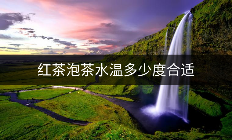 紅茶泡茶水溫多少度合適 紅茶泡茶水溫多少度合適