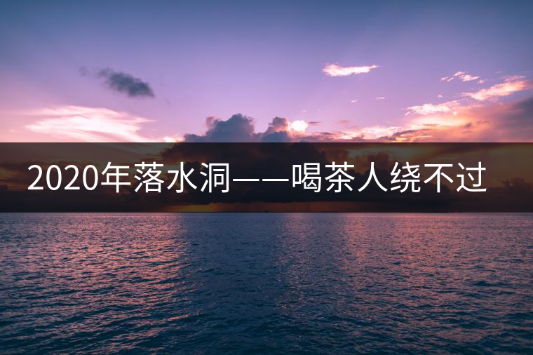 2020年落水洞——喝茶人繞不過的溫柔鄉(xiāng)！-易武中聘號
