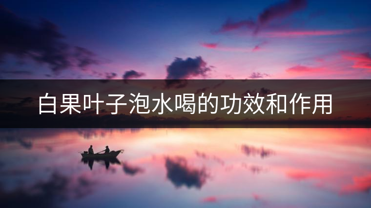 白果葉子泡水喝的功效和作用 白果葉子泡水喝的功效和作用