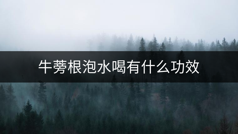 牛蒡根泡水喝有什么功效 牛蒡根泡水喝有什么功效