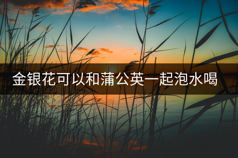 金銀花可以和蒲公英一起泡水喝嗎 金銀花可以和蒲公英一起泡水喝嗎