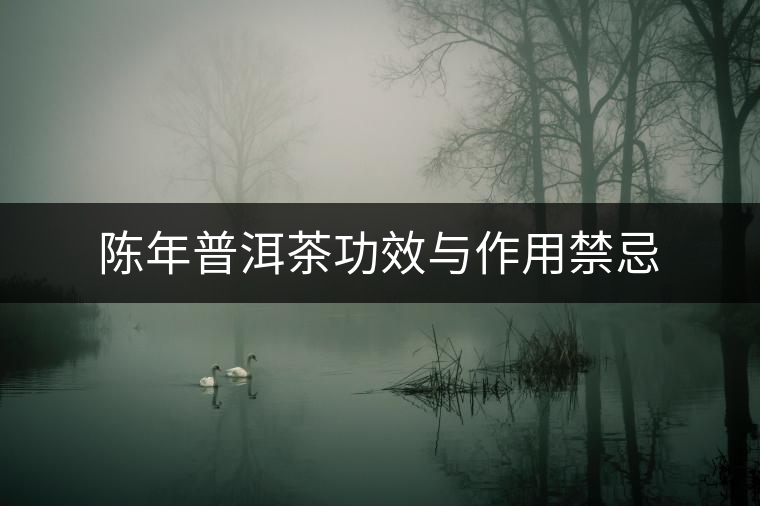 陳年普洱茶功效與作用禁忌 陳年普洱茶功效與作用禁忌