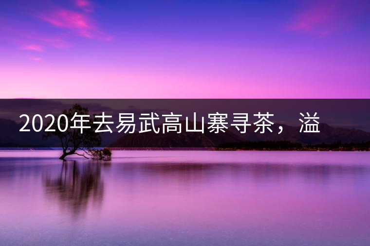 2020年去易武高山寨尋茶，溢滿茶香的古樹寨子-易武中聘號(hào)