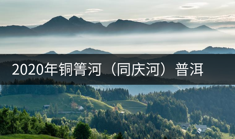 2020年銅箐河（同慶河）普洱茶，野味真難尋！-易武中聘號