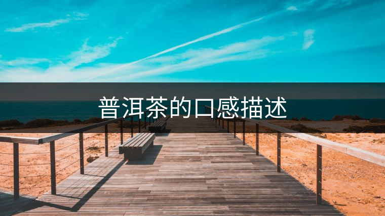 普洱茶的口感描述 普洱茶的口感描述