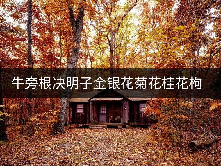 牛旁根決明子金銀花菊花桂花枸杞茶可以去口臭么 牛旁根決明子金銀花菊花桂花枸杞茶可以去口臭么