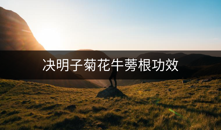 決明子菊花牛蒡根功效