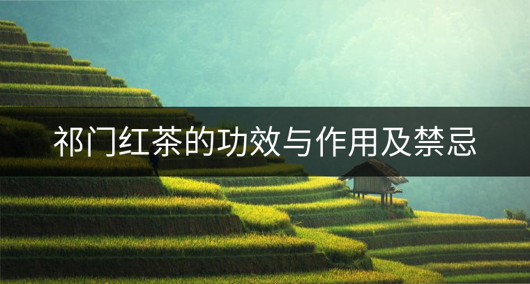 祁門紅茶的功效與作用及禁忌 祁門紅茶的功效與作用及禁忌