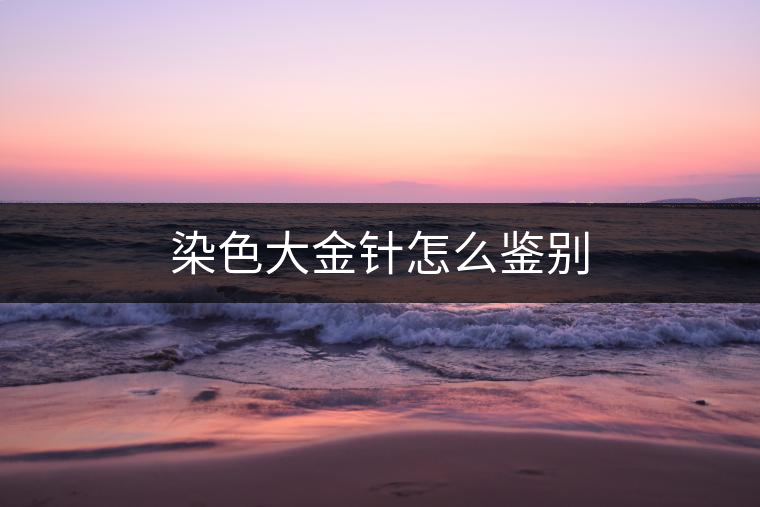 染色大金針怎么鑒別 染色大金針怎么鑒別