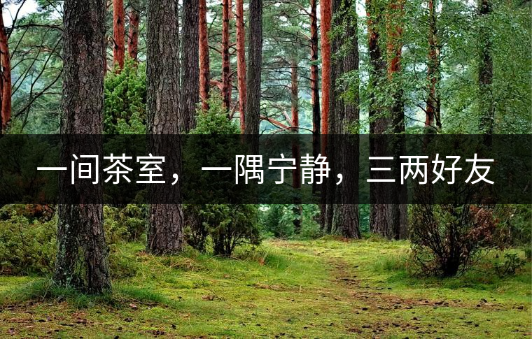 一間茶室，一隅寧靜，三兩好友