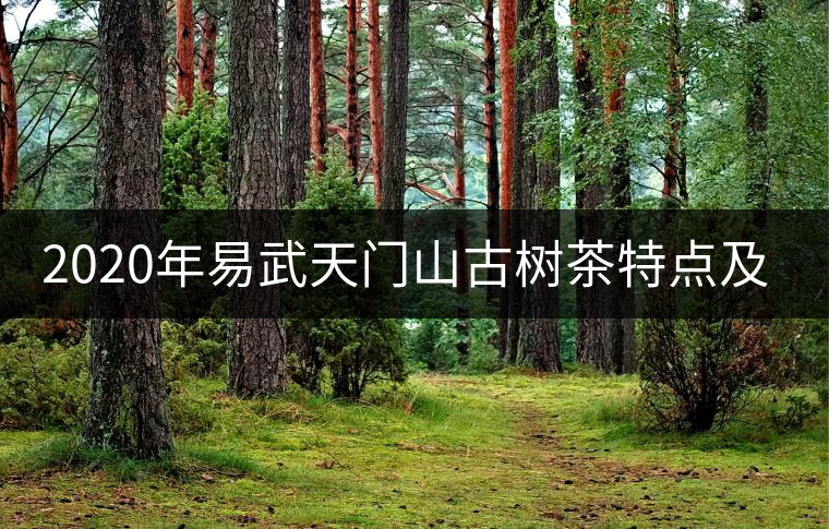 2020年易武天門山古樹茶特點及價格-易武中聘號 2020年易武天門山古樹茶特點及價格-易武中聘號
