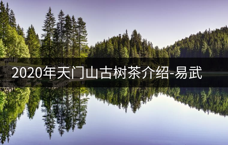 2020年天門(mén)山古樹(shù)茶介紹-易武中聘號(hào) 2020年天門(mén)山古樹(shù)茶介紹-易武中聘號(hào)