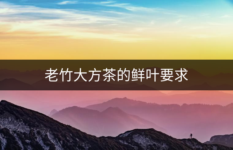 老竹大方茶的鮮葉要求 老竹大方茶的鮮葉要求