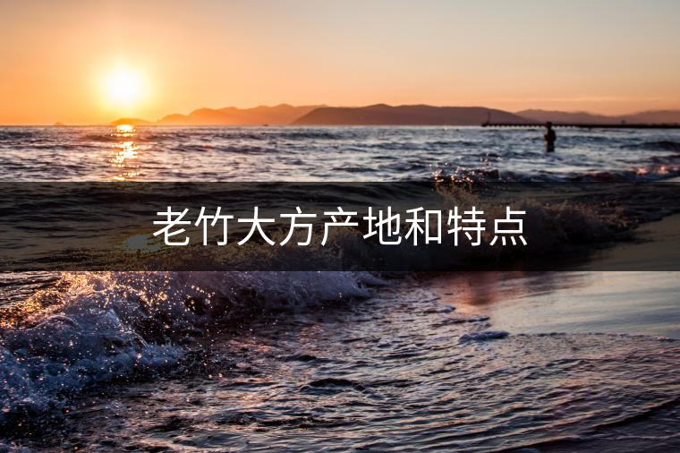 老竹大方產(chǎn)地和特點 老竹大方產(chǎn)地和特點