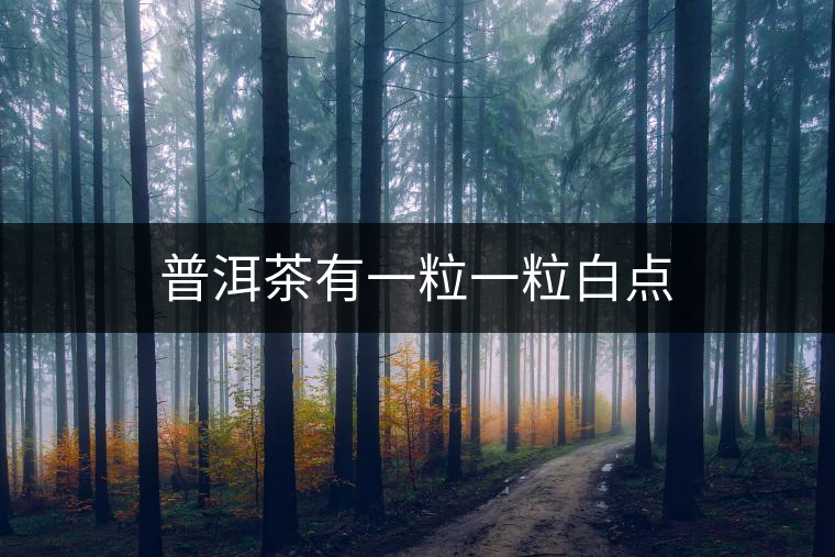 普洱茶有一粒一粒白點(diǎn) 普洱茶有一粒一粒白點(diǎn)