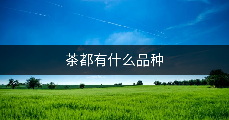 茶都有什么品種