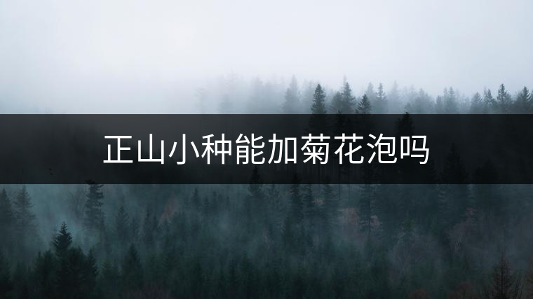 正山小種能加菊花泡嗎