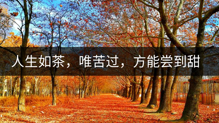 人生如茶，唯苦過(guò)，方能?chē)L到甜滋味