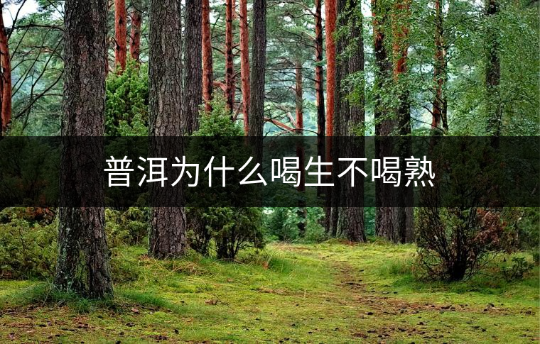 普洱為什么喝生不喝熟 普洱為什么喝生不喝熟