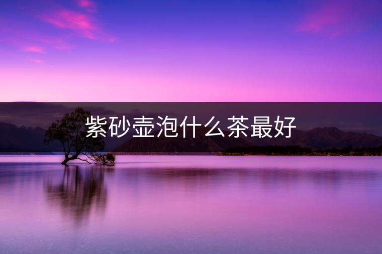 紫砂壺泡什么茶最好 紫砂壺泡什么茶最好