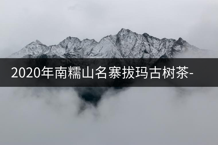 2020年南糯山名寨拔瑪古樹茶-易武中聘號(hào) 2020年南糯山名寨拔瑪古樹茶-易武中聘號(hào)