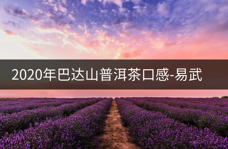 2020年巴達(dá)山普洱茶口感-易武中聘號 2020年巴達(dá)山普洱茶口感-易武中聘號