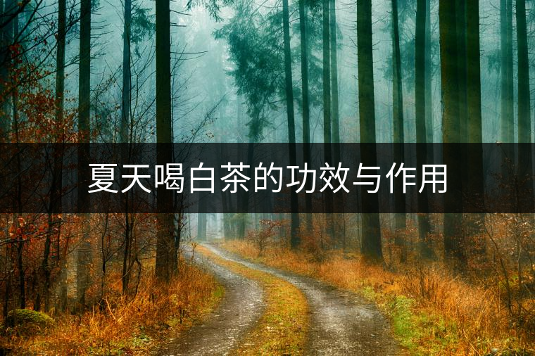 夏天喝白茶的功效與作用 夏天喝白茶的功效與作用