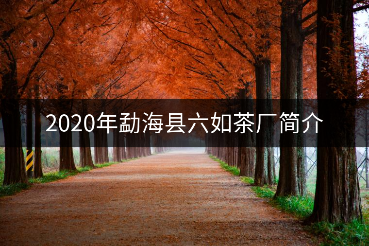 2020年勐?？h六如茶廠簡(jiǎn)介