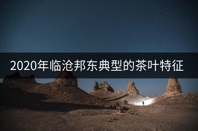2020年臨滄邦東典型的茶葉特征-易武中聘號(hào) 2020年臨滄邦東典型的茶葉特征-易武中聘號(hào)