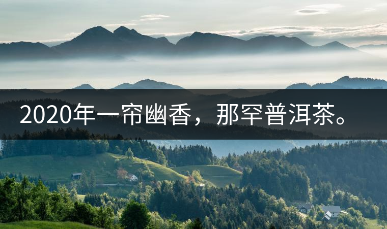 2020年一簾幽香，那罕普洱茶。-易武中聘號