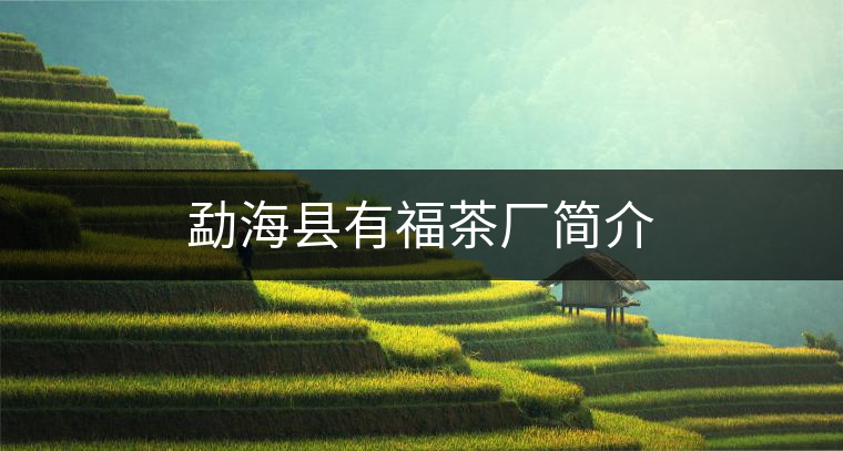 勐海縣有福茶廠簡介 勐海縣有福茶廠簡介