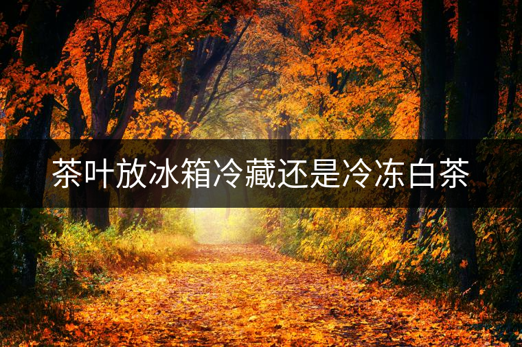 茶葉放冰箱冷藏還是冷凍白茶